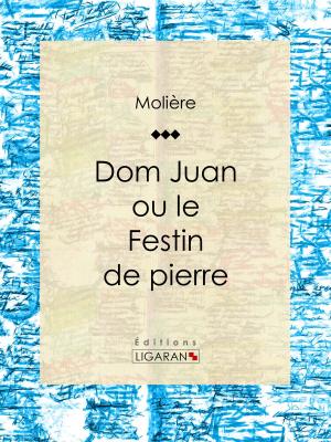 Cover of the book Don Juan by Émile Augier, Ligaran