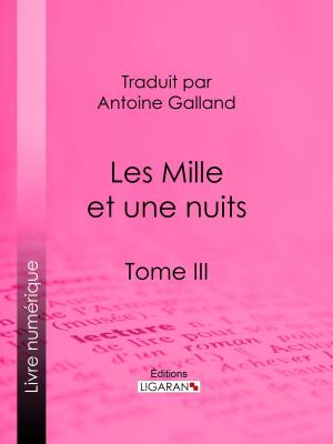 Cover of the book Les Mille et une nuits by Voltaire, Louis Moland, Ligaran