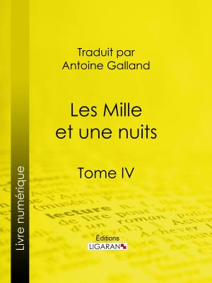 Cover of the book Les Mille et une nuits by Antoine-Louis-Claude Destutt de Tracy, Ligaran