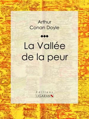 Cover of the book La Vallée de la peur by Jean-Jacques Le Maguérèze, Ligaran