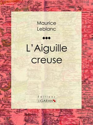 Cover of the book L'Aiguille creuse by Alphonse Daudet, Ligaran