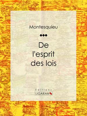 Cover of the book De l'esprit des lois by Roger de Beauvoir, Ligaran