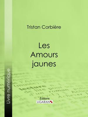 Cover of the book Les Amours jaunes by Edmond About, Ligaran