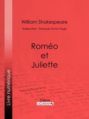 Cover of the book Roméo et Juliette by Mishell Baker