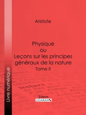 Cover of the book Physique by Armand Silvestre, Ligaran