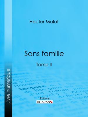 Cover of the book Sans famille by Alexandre Dumas, Ligaran
