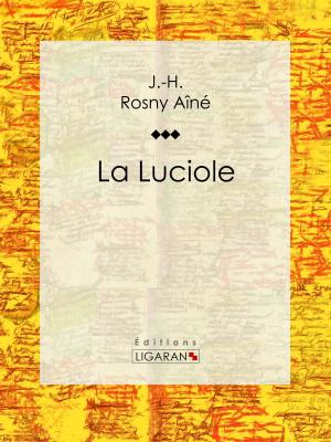 Cover of the book La Luciole by Jean de La Fontaine, Ligaran