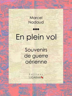 Cover of the book En plein vol by Jacques Arago, Ligaran