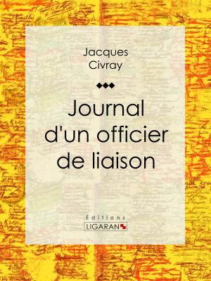 Cover of the book Journal d'un officier de liaison by Étienne Vacherot, Ligaran