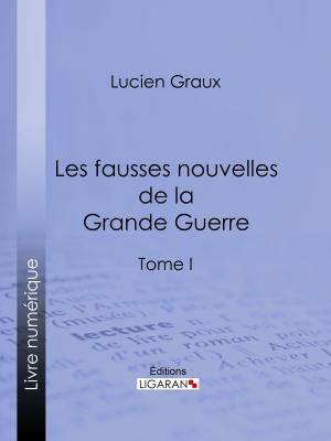 Book cover of Les Fausses Nouvelles de la Grande Guerre