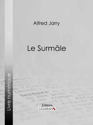 Cover of the book Le Surmâle by Ernest Renan, Ligaran