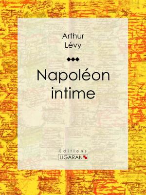 Cover of the book Napoléon intime by Astolphe de Custine, Ligaran