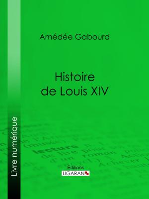 Cover of the book Histoire de Louis XIV by Pierre Alexis de Ponson du Terrail, Ligaran