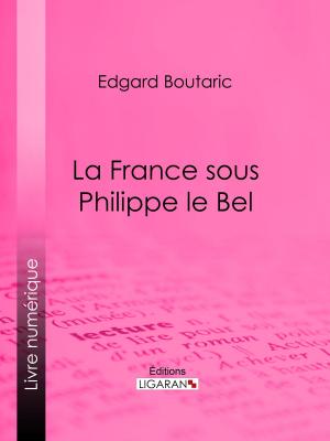 Cover of the book La France sous Philippe le Bel by Frédéric Masson, Ligaran