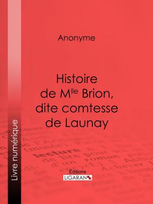 Cover of the book Histoire de Mlle Brion, dite comtesse de Launay by Anonyme, Ligaran