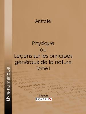Cover of the book Physique by Voltaire, Ligaran
