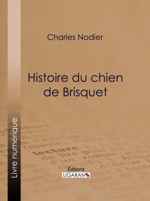 Cover of the book Histoire du chien de Brisquet by Charles Nodier, Ligaran