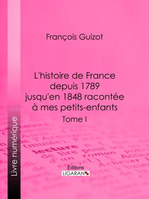 Cover of the book L'histoire de France depuis 1789 jusqu'en 1848 racontée à mes petits-enfants by Louis Lemercier de Neuville, Ligaran