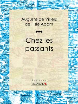 Cover of the book Chez les passants by Xavier Forneret, Ligaran
