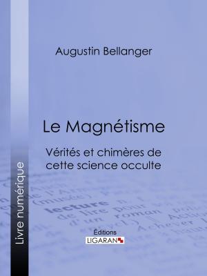 Cover of the book Le Magnétisme by Philibert Audebrand, Ligaran