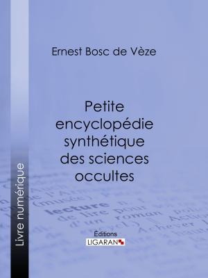 Cover of the book Petite encyclopédie synthétique des sciences occultes by Henri Barbusse