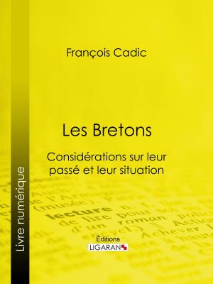 Cover of the book Les Bretons by Paul Féval, Ligaran