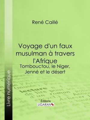 Cover of the book Voyage d'un faux musulman à travers l'Afrique by Amélie Lenormant, Ligaran