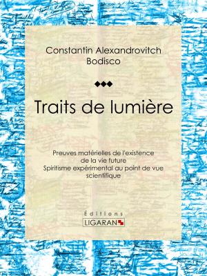 Book cover of Traits de lumière