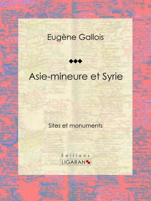 Cover of the book Asie-Mineure et Syrie by Mirabeau, P. (Le Chevalier) Pierrugues, Ligaran