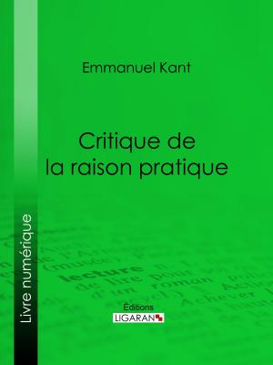 Cover of the book Critique de la raison pratique by Alphonse Daudet, Ligaran