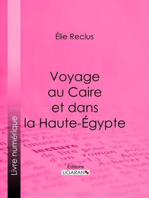 Cover of the book Voyage au Caire et dans la Haute-Égypte by Alfred de Musset, Ligaran