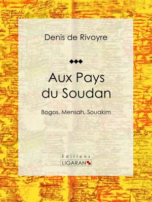 Cover of the book Aux Pays du Soudan by Xavier de Maistre, Charles-Augustin Sainte-Beuve, Ligaran