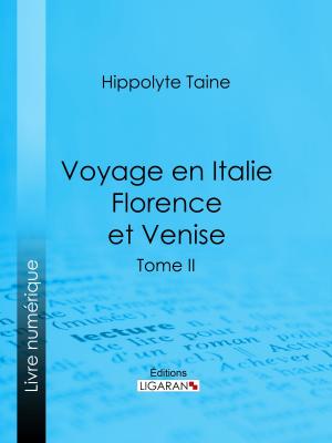 Cover of the book Voyage en Italie. Florence et Venise by Ernest Daudet, Ligaran
