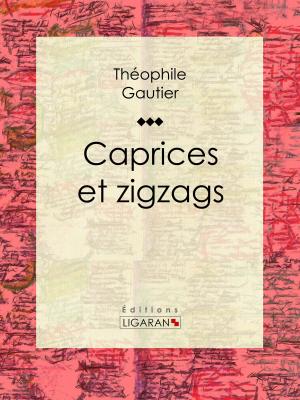 Cover of the book Caprices et zigzags by Maurice Demaison, Henri de Régnier, Ligaran