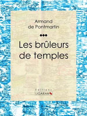 Book cover of Les brûleurs de temples