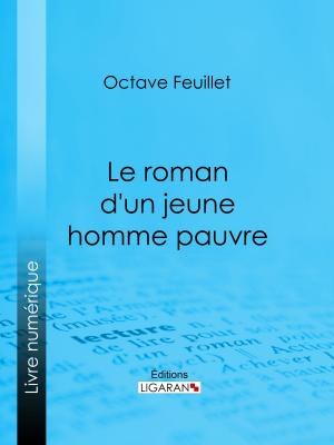 Cover of the book Le roman d'un jeune homme pauvre by Alexandre Weill, Ligaran