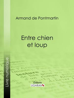 Cover of the book Entre chien et loup by Roger de Beauvoir, Ligaran