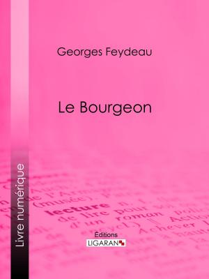 Cover of the book Le Bourgeon by Denis Diderot, Ligaran