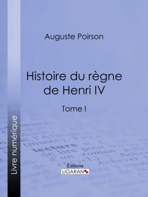 Cover of the book Histoire du règne de Henri IV by Xavier Marmier, Ligaran