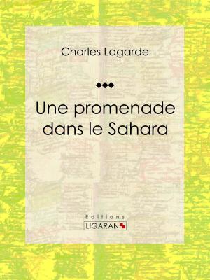 Cover of the book Une promenade dans le Sahara by Léon Pervenquière, Ligaran