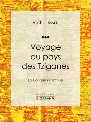 Cover of the book Voyage au pays des Tziganes by Lord Byron, Ligaran