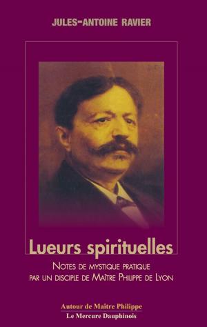 Cover of the book Lueurs spirituelles by Erik Sablé