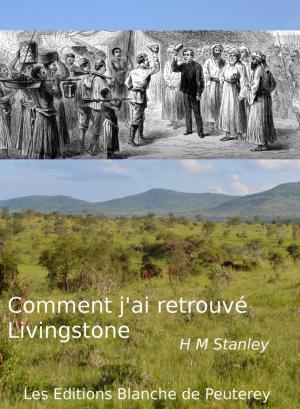 Book cover of Comment j'ai retrouvé Livingstone