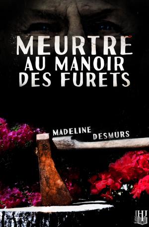 Cover of the book Meurtre au manoir des Furets by Mélanie WENCY