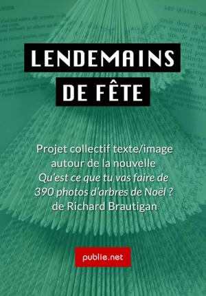 Cover of the book Lendemains de fête by Eric Chevillard