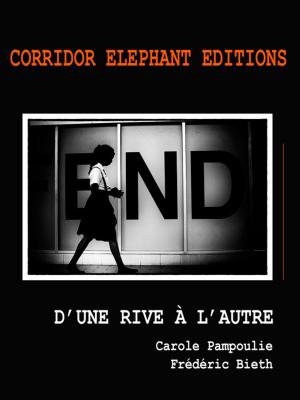 Cover of the book D'une rive à l'autre by Hudson Rodrigues