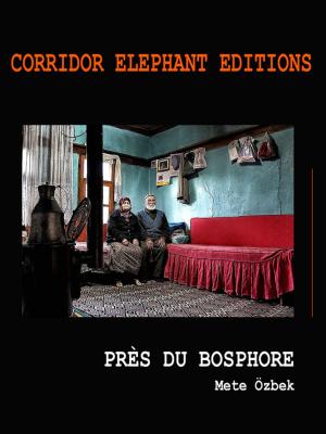 Cover of the book Près du Bosphore by Yann Verrier