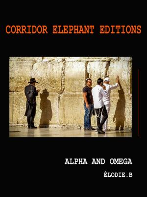 Cover of the book Alpha and Omega by Yann Verrier