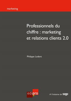 Cover of the book Professionnels du chiffre : marketing et relations clients 2.0 by Philippe Allard