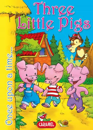 Cover of the book Three Little Pigs by Claire Bertholet, Sally-Ann Hopwood, Histoires à lire avant de dormir
